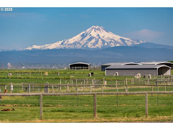 a view balcony with a play ground