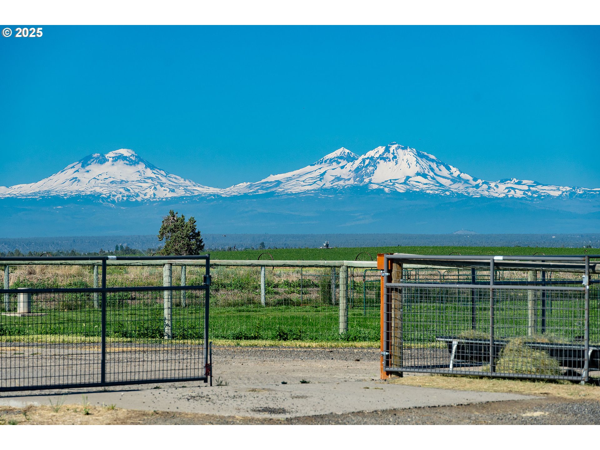 12444 Southwest Green Drive Culver, OR 97734 - Photo 31 of 34 a view of a backyard