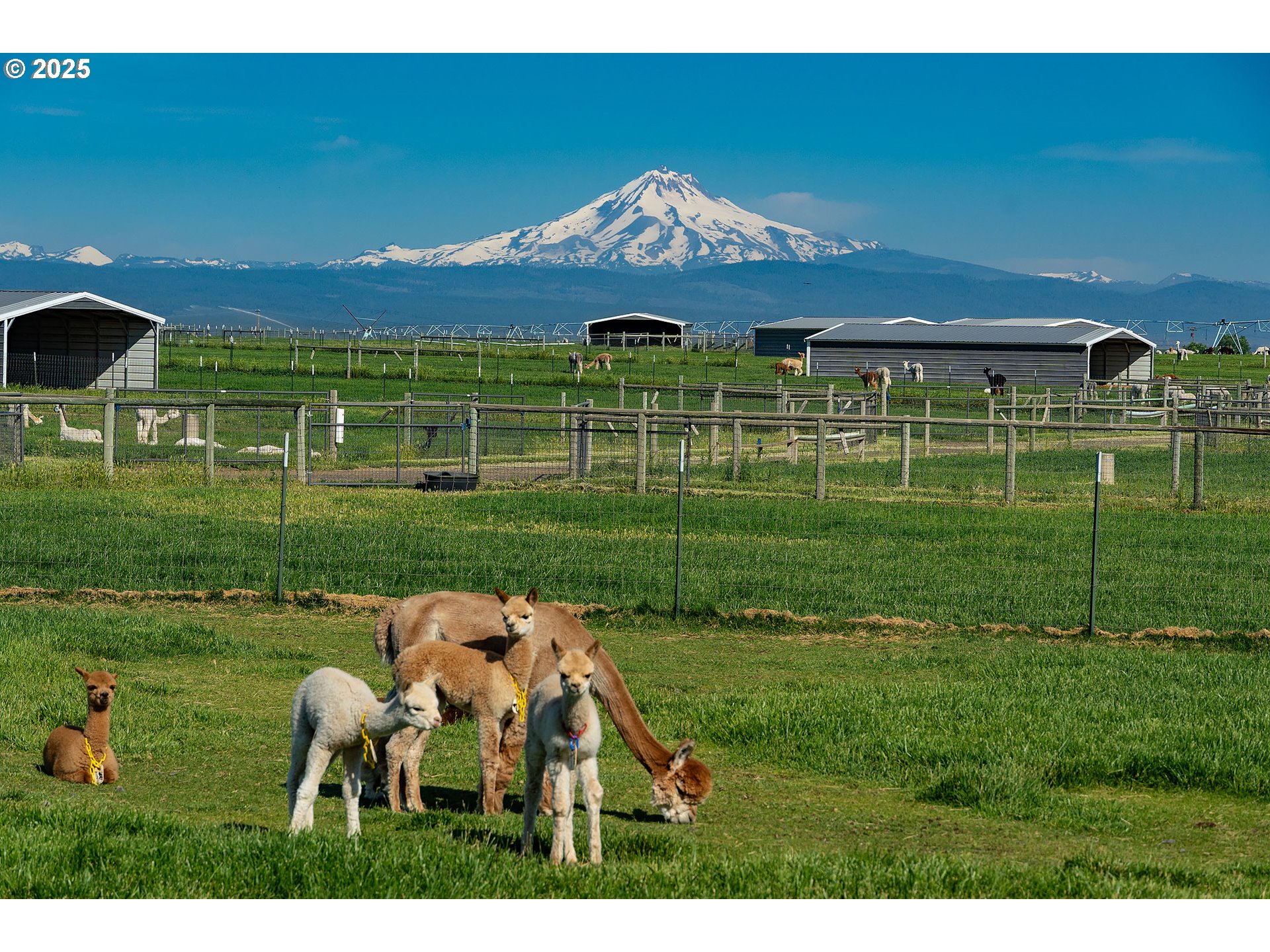 12444 Southwest Green Drive Culver, OR 97734 - Photo 32 of 34 a view of a golf course with a table