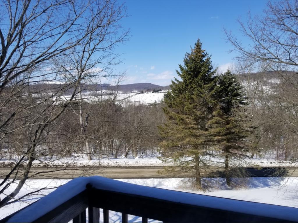 1779 Traverse Road Virgil, NY 13045 - Photo 9 of 12 Gallery Image 9