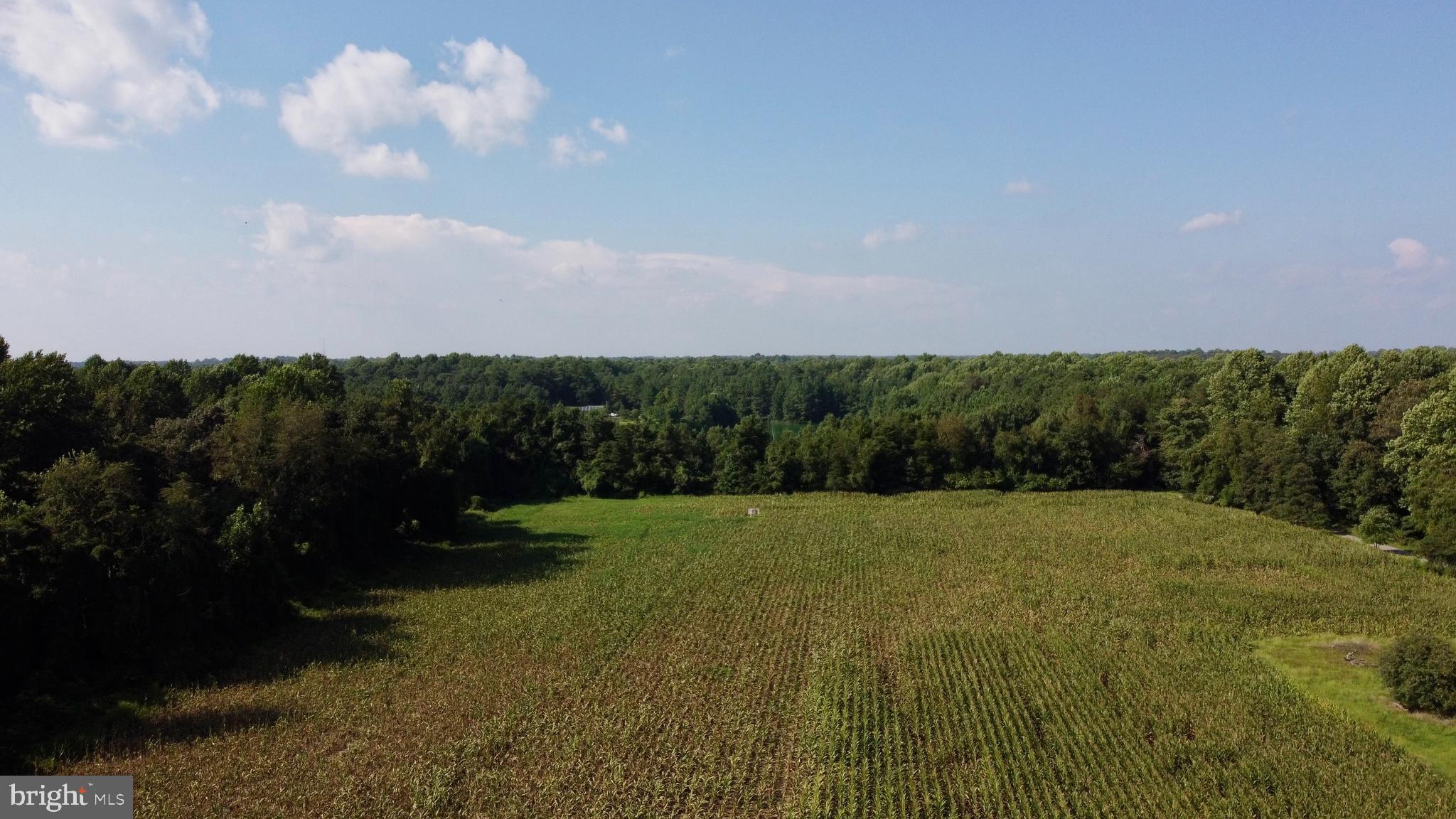 Rose Of Sharon Road Harrington, DE 19952 - Photo 16 of 18 Gallery Image 16