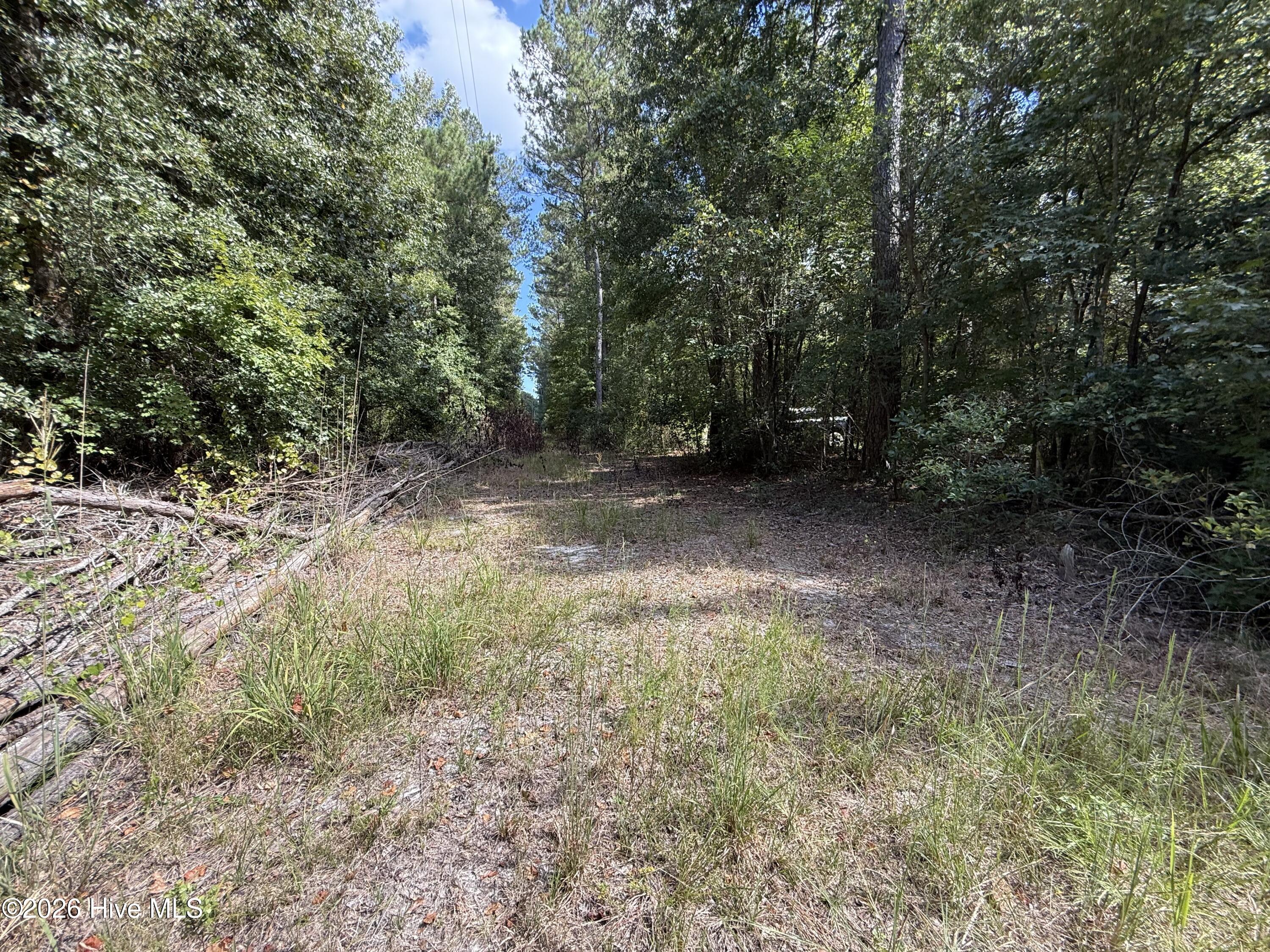 Tbd Tbd Point Atkinson, NC 28421 - Photo 4 of 16 Gallery Image 4