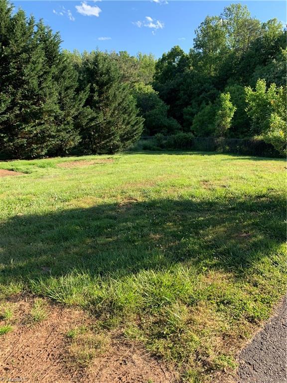 4393 North Old 52 Road Pinnacle, NC 27043 - Photo 36 of 41