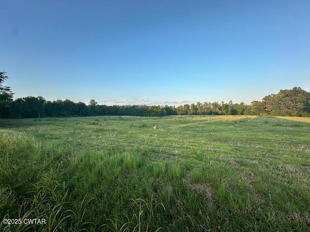 0 Old Trezevant Road Trezevant, TN 38258 - Photo 3 of 12 IMG_0281