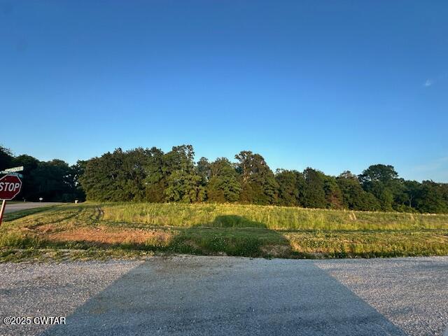 0 Old Trezevant Road Trezevant, TN 38258 - Photo 6 of 12 IMG_0278