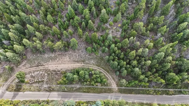 a view of a yard with potted plants