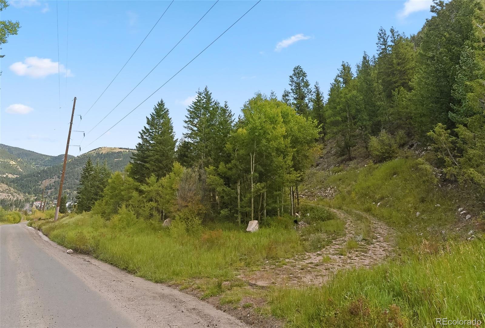 0 Bard Creek Road Empire, CO 80438 - Photo 13 of 21 a view of a yard with potted plants