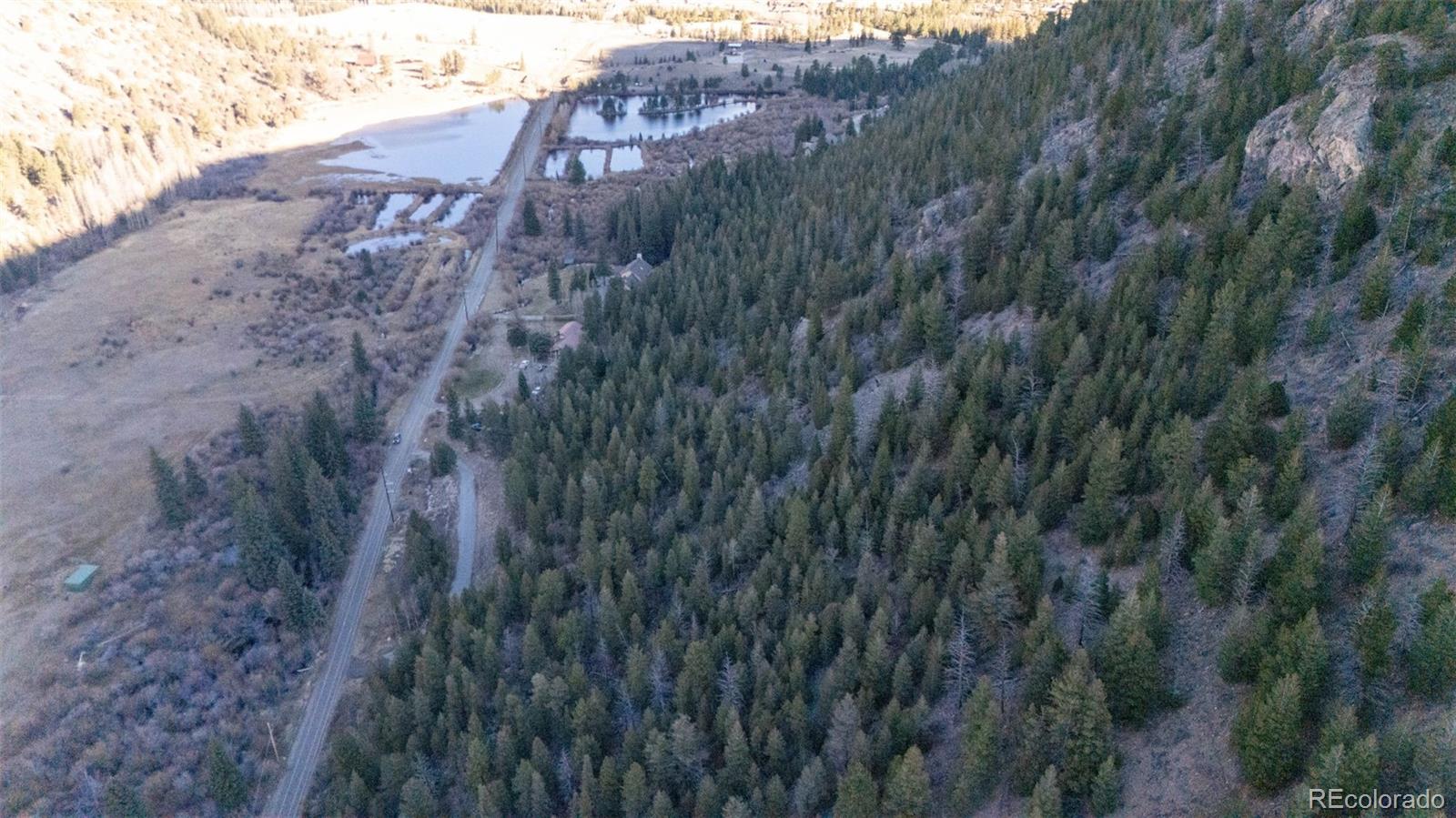 0 Bard Creek Road Empire, CO 80438 - Photo 17 of 21 a view of a yard