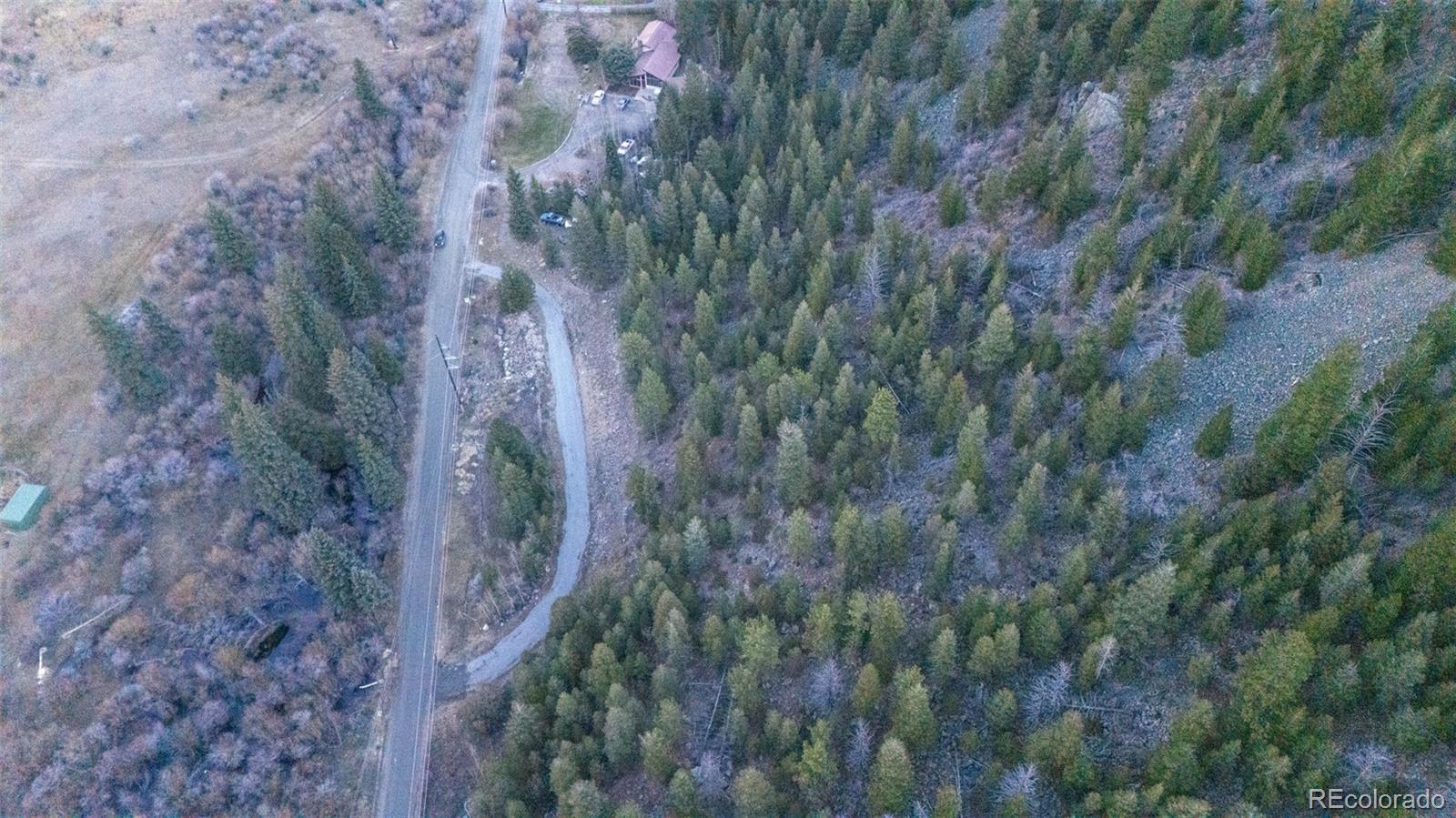 0 Bard Creek Road Empire, CO 80438 - Photo 18 of 21 a view of a forest that has a tree