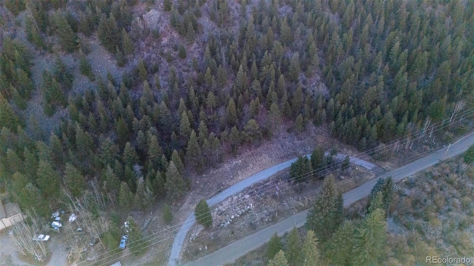 0 Bard Creek Road Empire, CO 80438 - Photo 19 of 21 a view of a yard