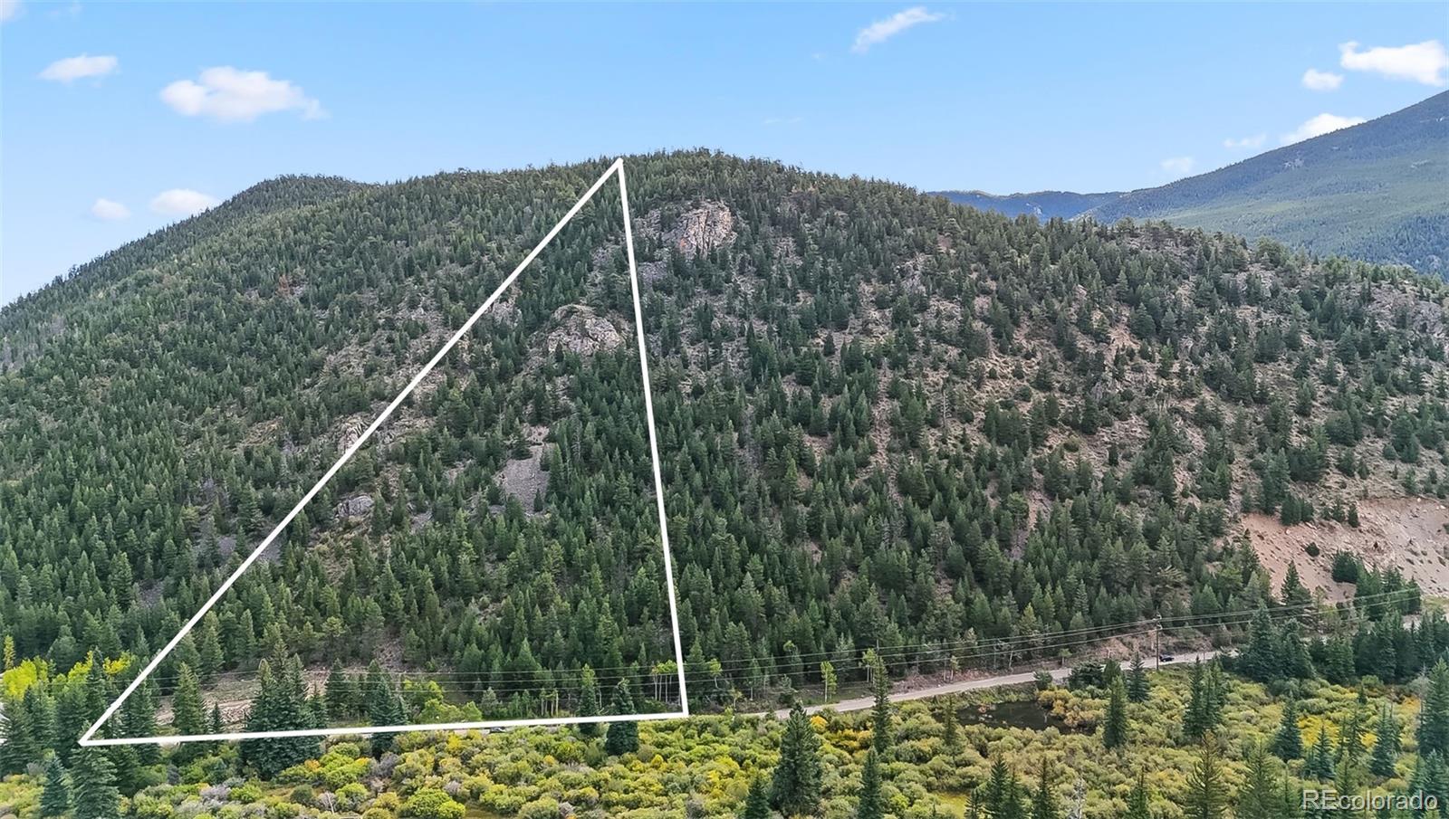 0 Bard Creek Road Empire, CO 80438 - Photo 2 of 21 a view of a forest