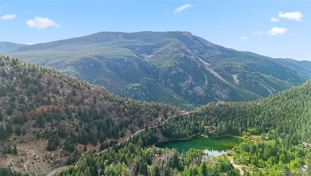 a view of a mountain view with a forest