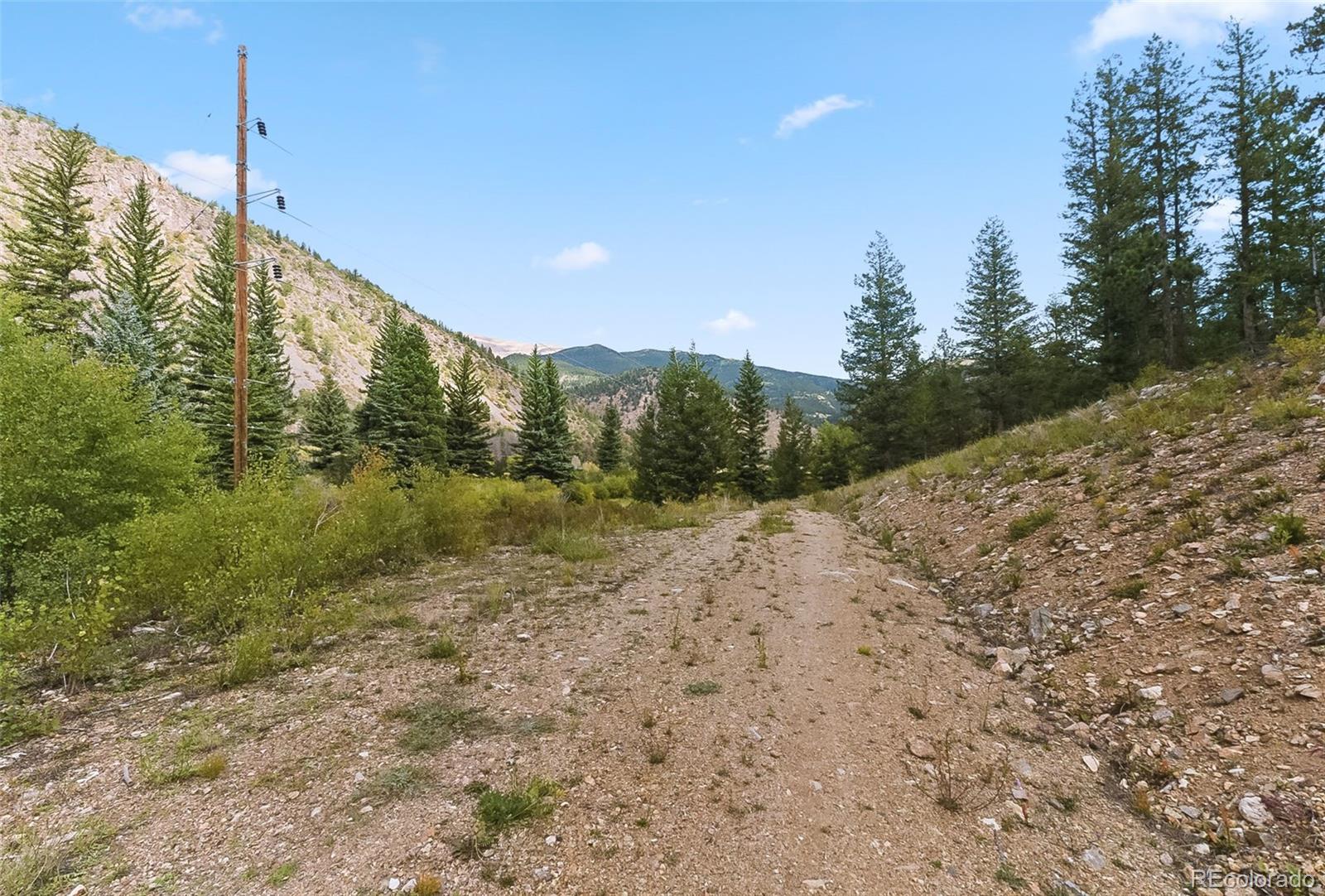 0 Bard Creek Road Empire, CO 80438 - Photo 10 of 21 a view of a dry yard with trees