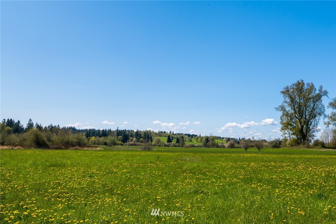 10231 Evergreen Valley Road Southeast Olympia, WA 98513 - Photo 11 of 13 Gallery Image 11