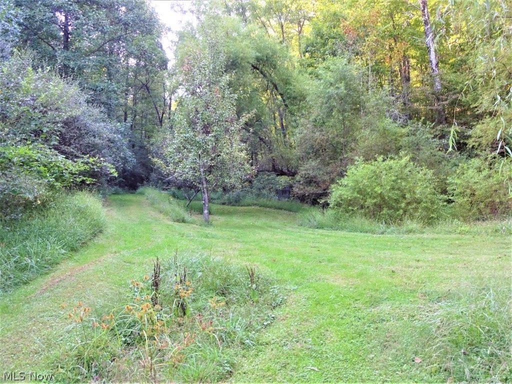 1709 Slab Fork Road Spencer, WV 25276 - Photo 8 of 35