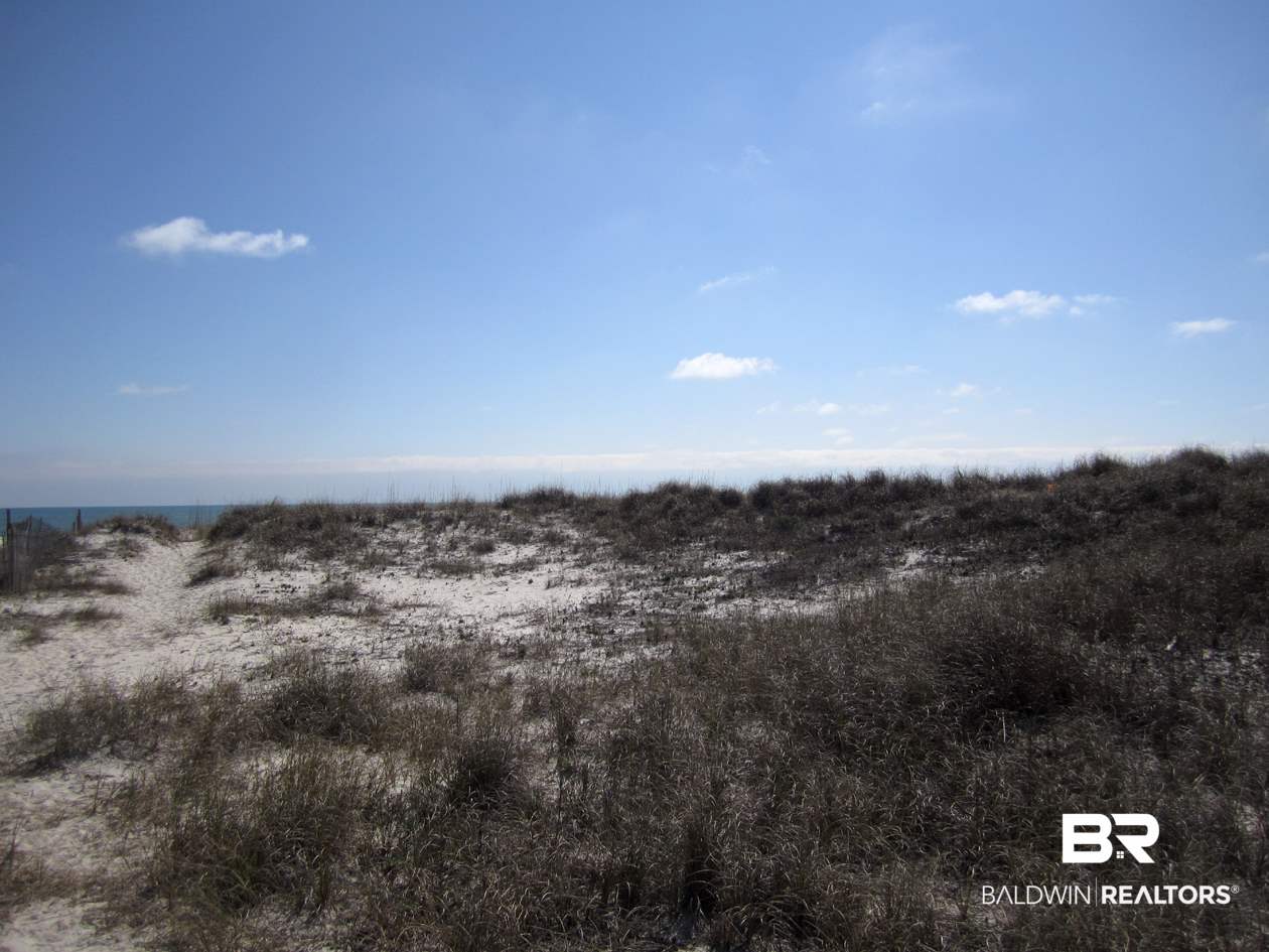 Brandt Lane Gulf Shores, AL 36542 - Photo 5 of 22 View of Lot