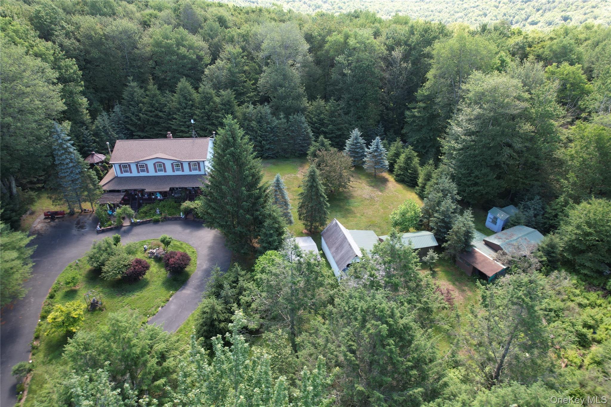 239 Burnt Ridge Road Liberty, NY 12754 - Photo 3 of 50