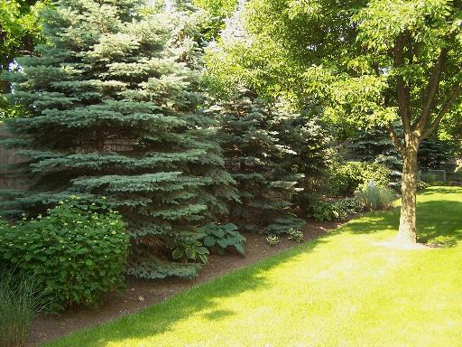 488 Village Green Road Naperville, IL 60540 - Photo 16 of 16
