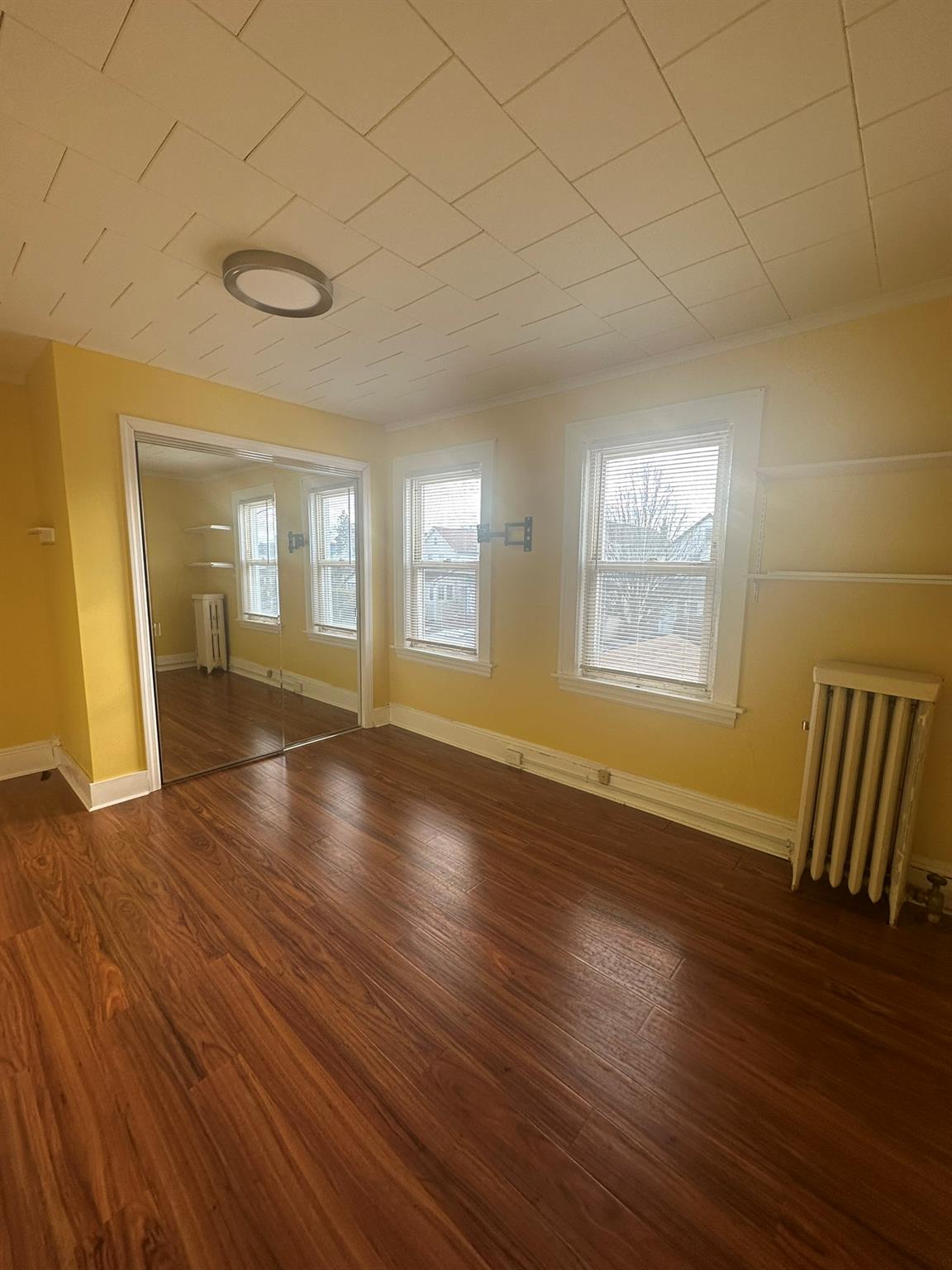 221-13 104th Avenue Queens, NY 11429 - Photo 11 of 18 Bonus room featuring dark hardwood / wood-style floors and radiator heating unit