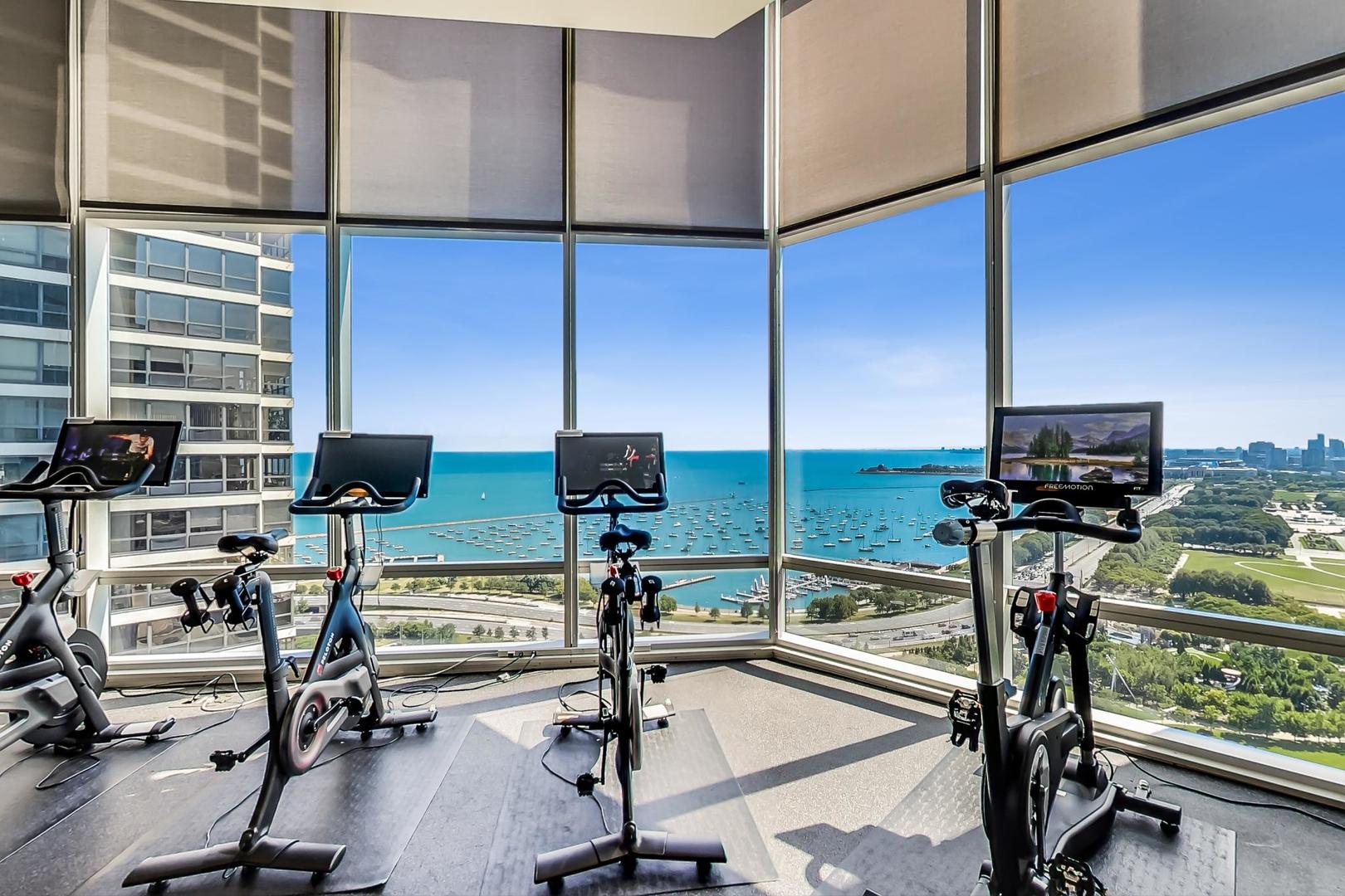 340 East Randolph Street, Unit 4901 Chicago, IL 60601 - Photo 40 of 50