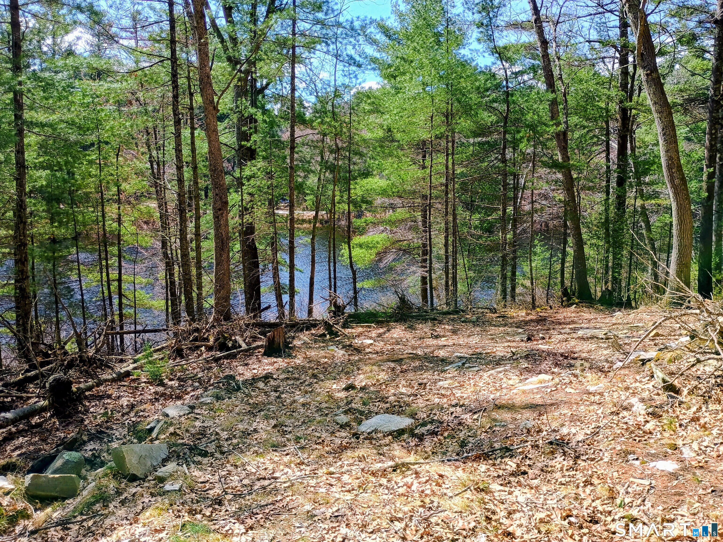 175 Mashentuck Road Killingly, CT 06239 - Photo 3 of 3