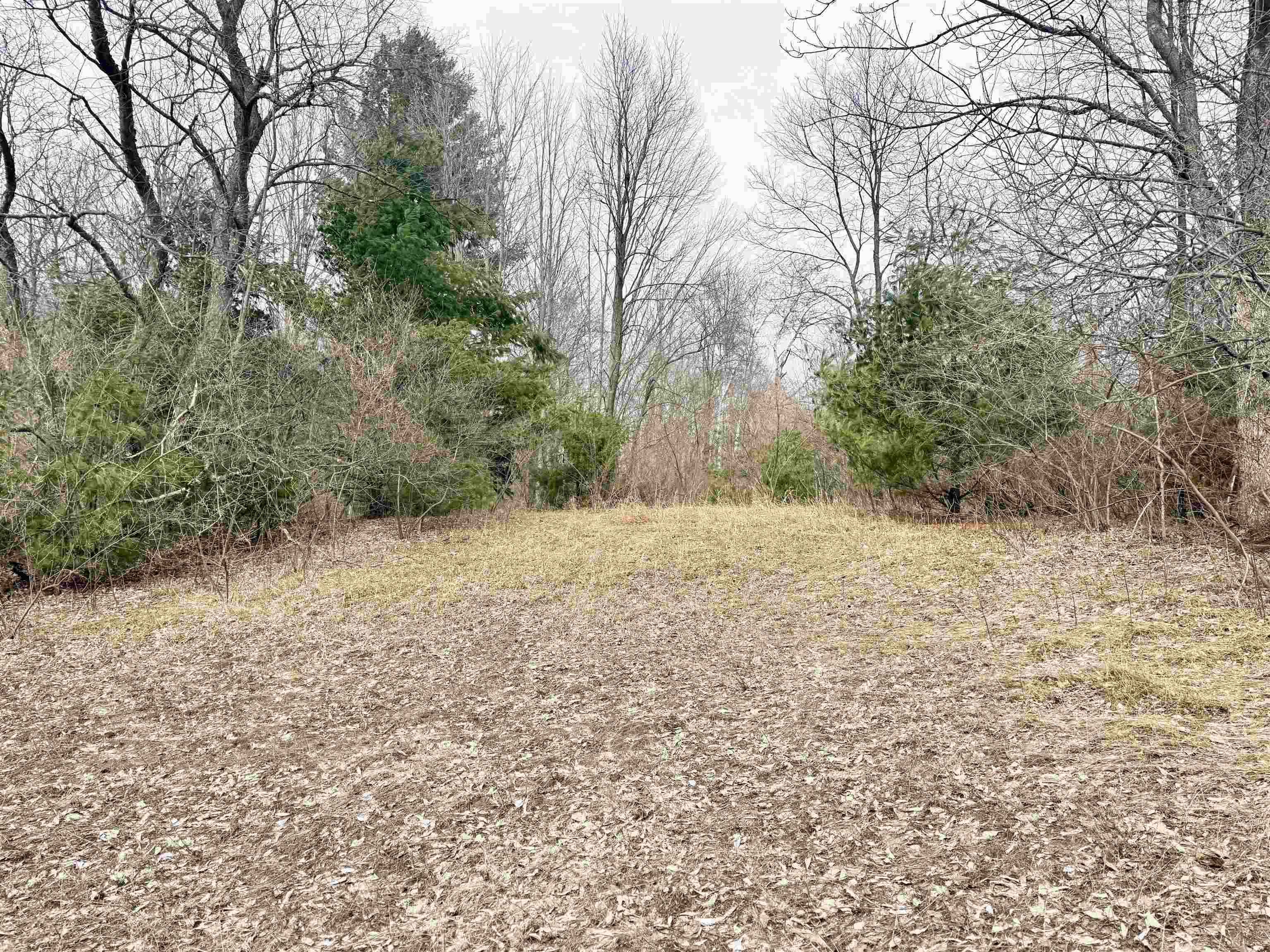 0 West Trumbull Road, Unit LOT B Maple City, MI 49664 - Photo 13 of 25