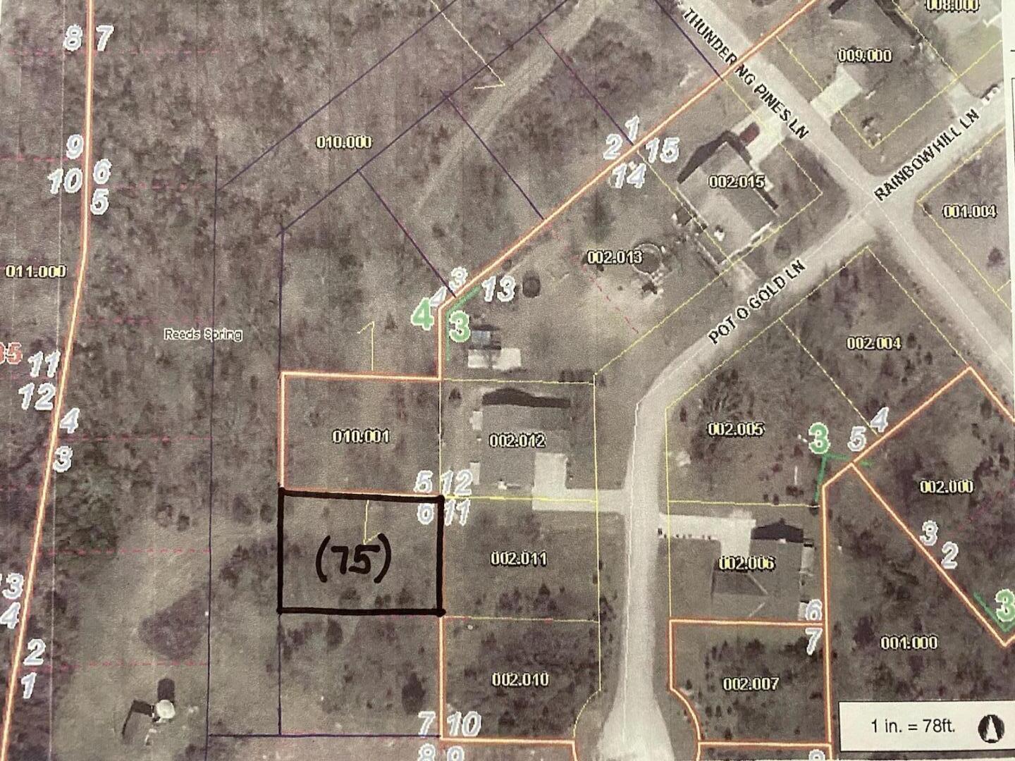 75 Thorn Rdg Road Reeds Spring, MO 65737 - Photo 1 of 1 Overhead View