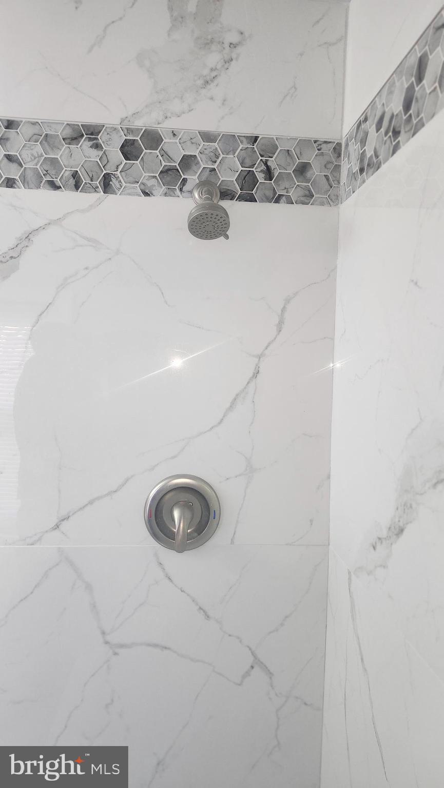 1001 Cameron Road Baltimore, MD 21212 - Photo 21 of 46 a bathroom with a shower