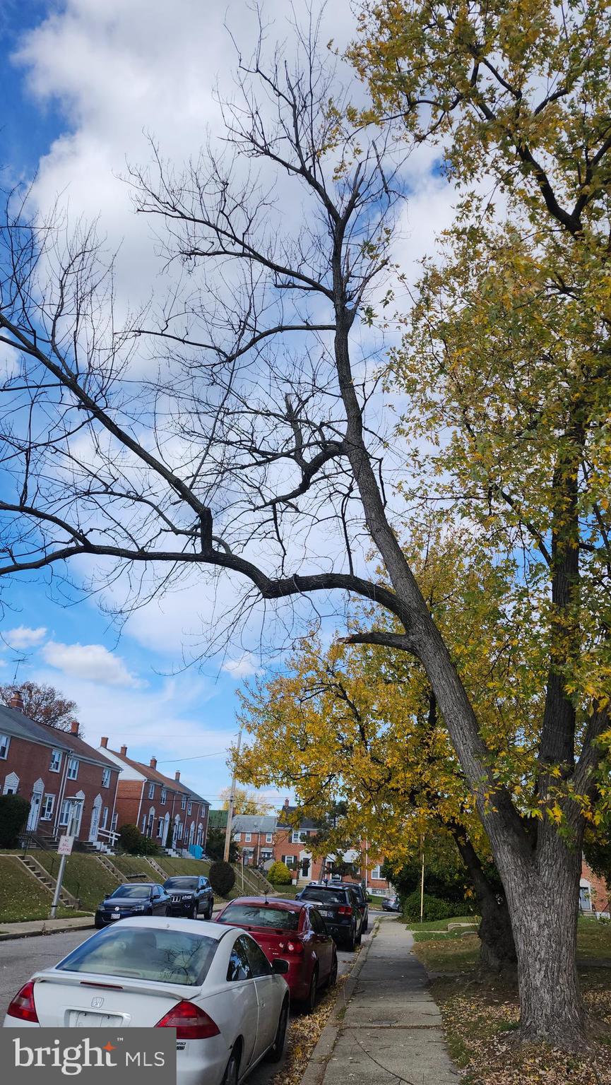 1001 Cameron Road Baltimore, MD 21212 - Photo 44 of 46