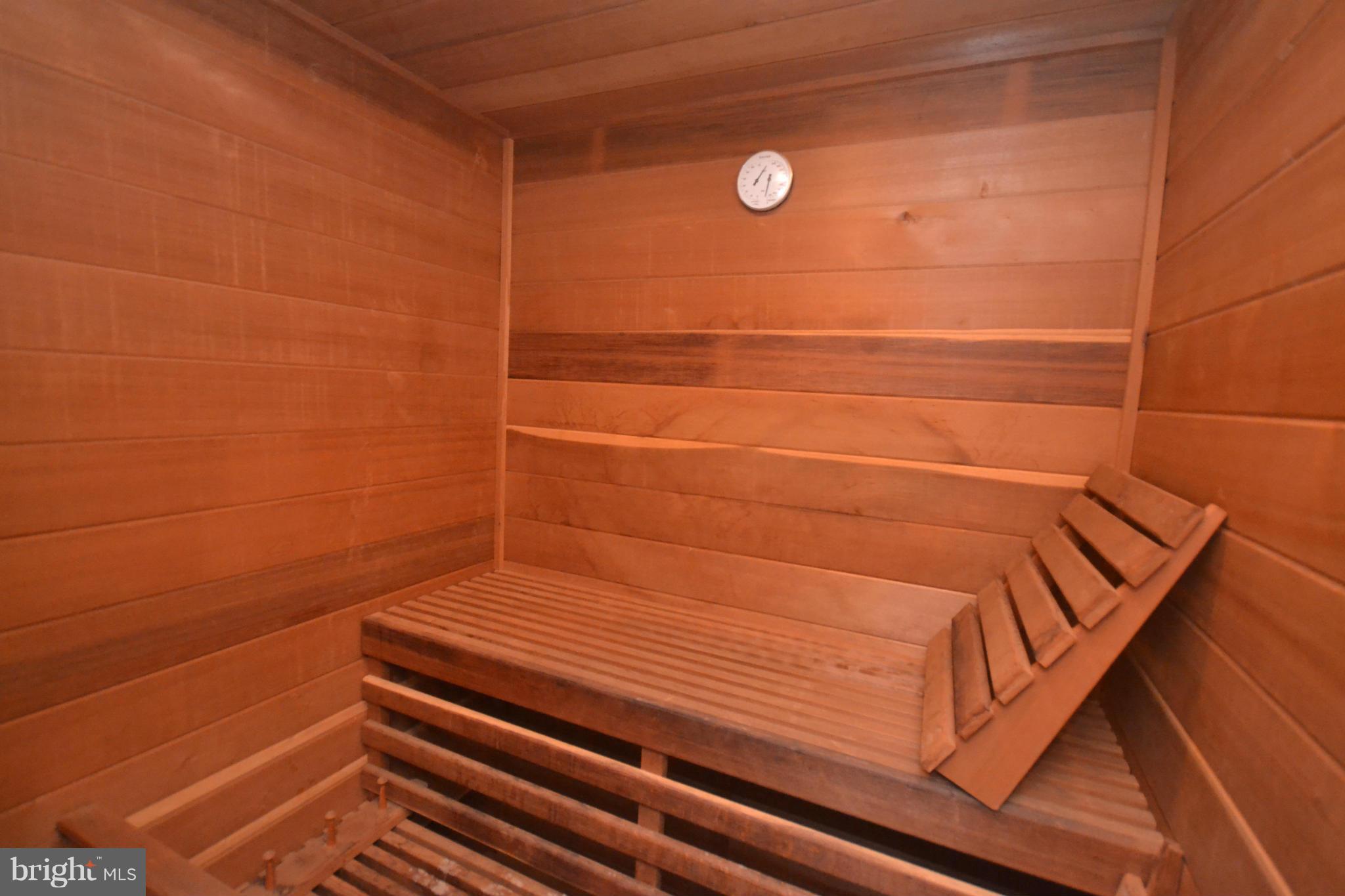 12045 Gores Mill Road Reisterstown, MD 21136 - Photo 15 of 28 Sauna