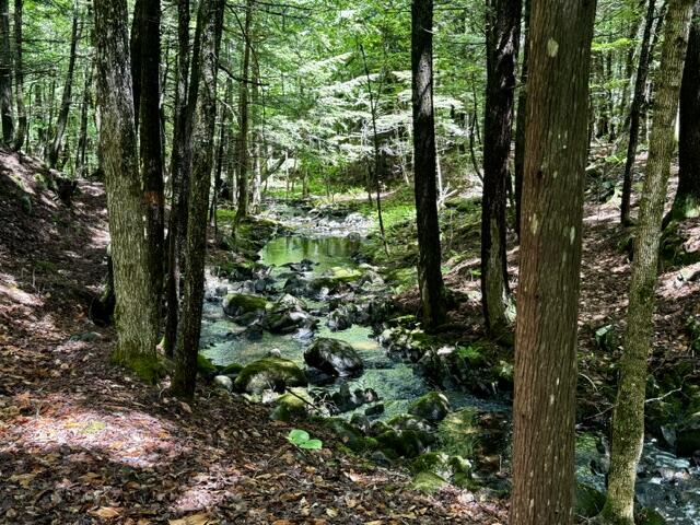M10-l20 Judkins Road Harmony, ME 04942 - Photo 32 of 39