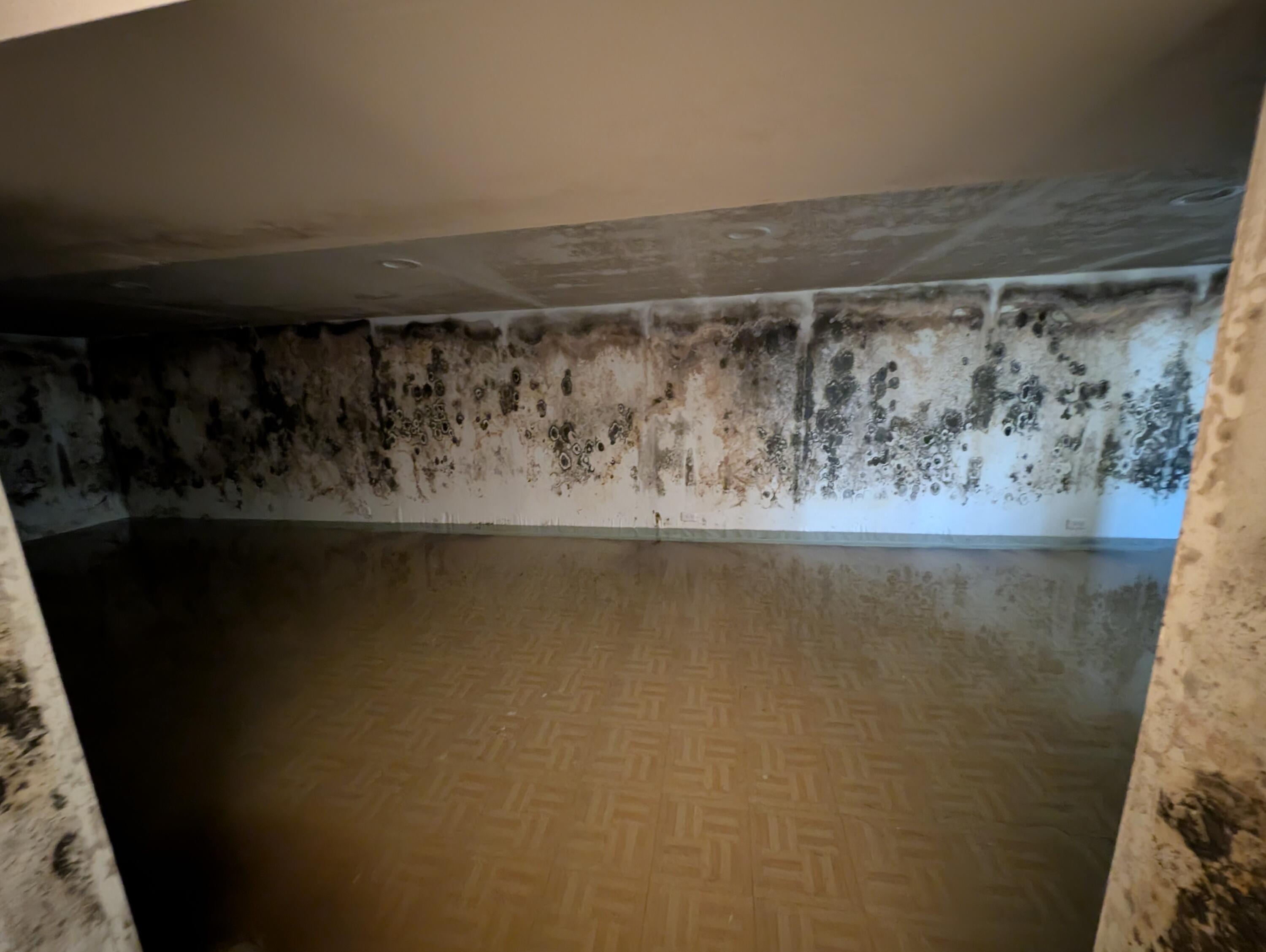 1024 Ralston Street Gary, IN 46406 - Photo 10 of 14 3000x2258