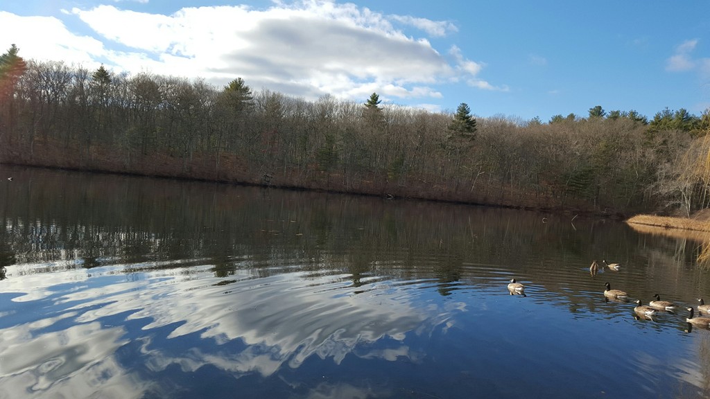 40 Bernard Road Grafton, MA 01536 - Photo 13 of 23 Gallery Image 13