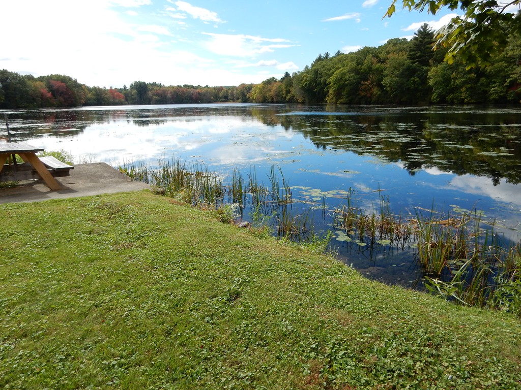 40 Bernard Road Grafton, MA 01536 - Photo 8 of 23 Gallery Image 8
