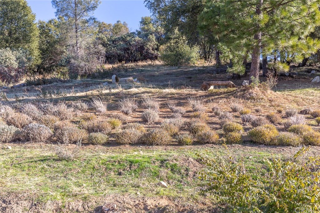 2950 East Westfall Road Mariposa, CA 95338 - Photo 42 of 57 Gallery Image 42