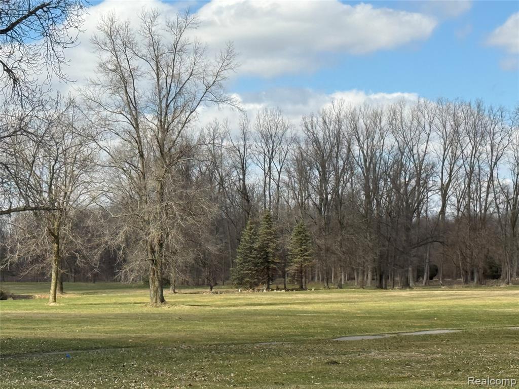 12915 Sumpter Road Carleton, MI 48117 - Photo 13 of 33