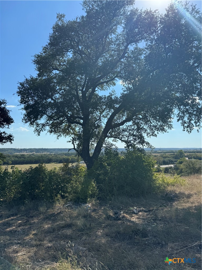 Lot 23 Bowles Ranch Road Belton, TX 76513 - Photo 4 of 5 a view of a lake from a yard