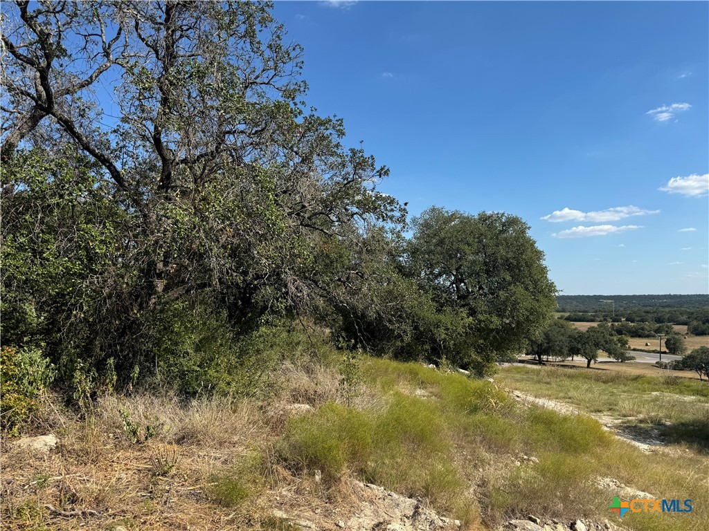Lot 23 Bowles Ranch Road Belton, TX 76513 - Photo 5 of 5