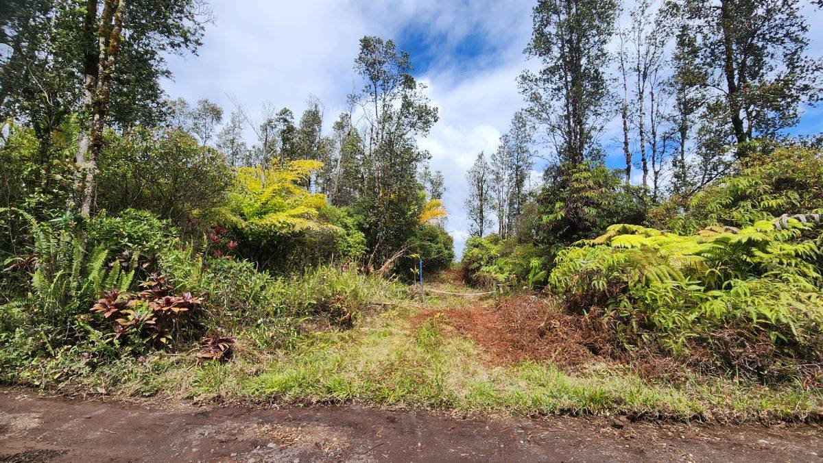 16-2011 Uau Rd (Road 5) Hawaiian Acres
Three acre improved parcel for only $65,000!
See mls # 709636