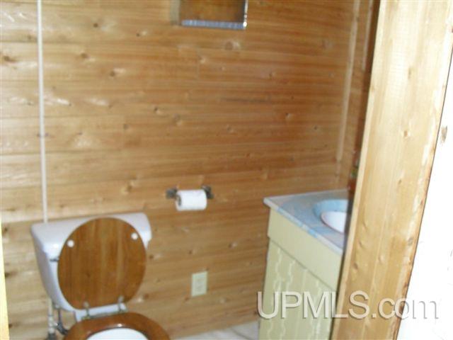 Tbd Country Lane Road Eben Junction, MI 49825 - Photo 14 of 21