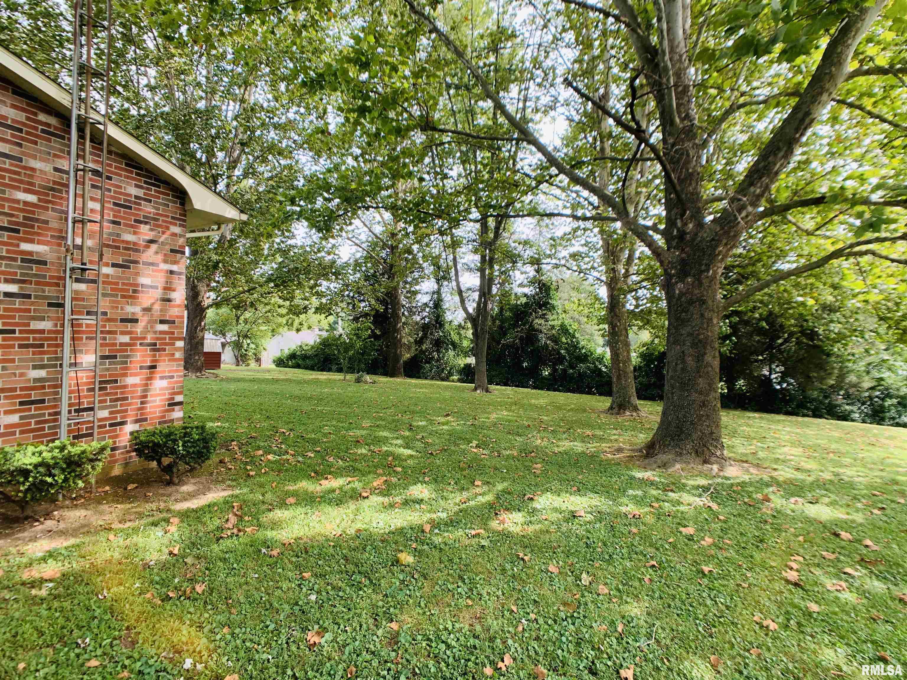 1103 Washington Street Eldorado, IL 62930 - Photo 8 of 31