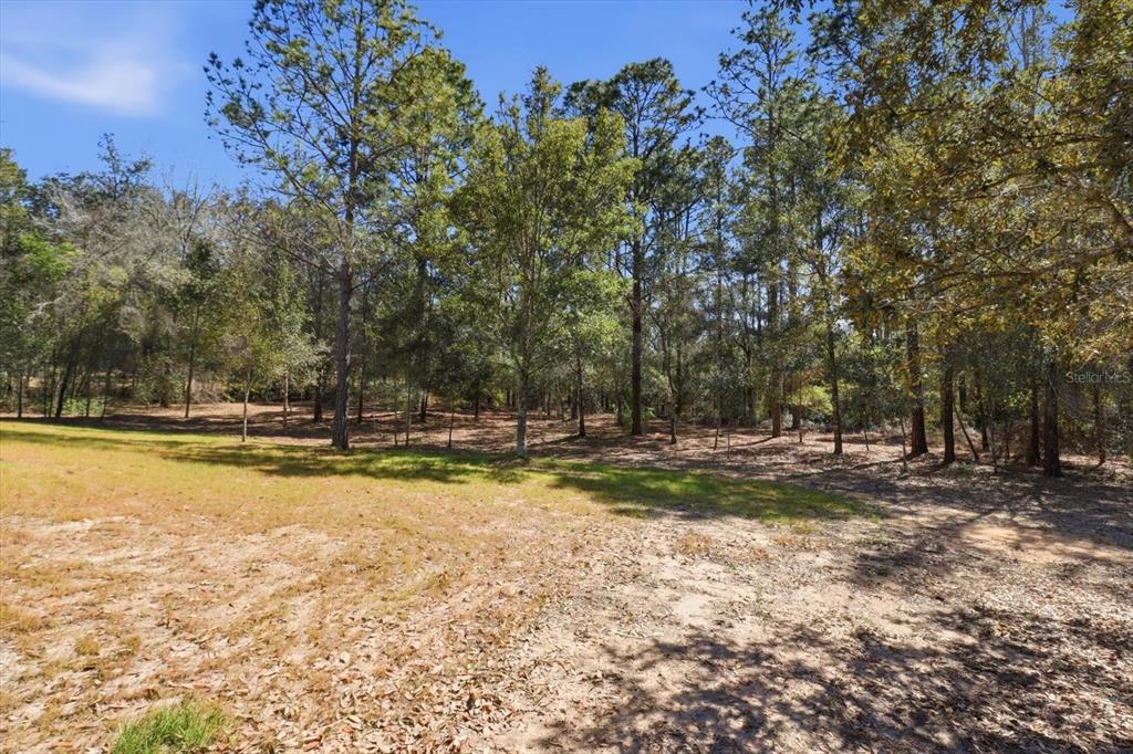 700 East Stratford Road Lecanto, FL 34461 - Photo 38 of 46