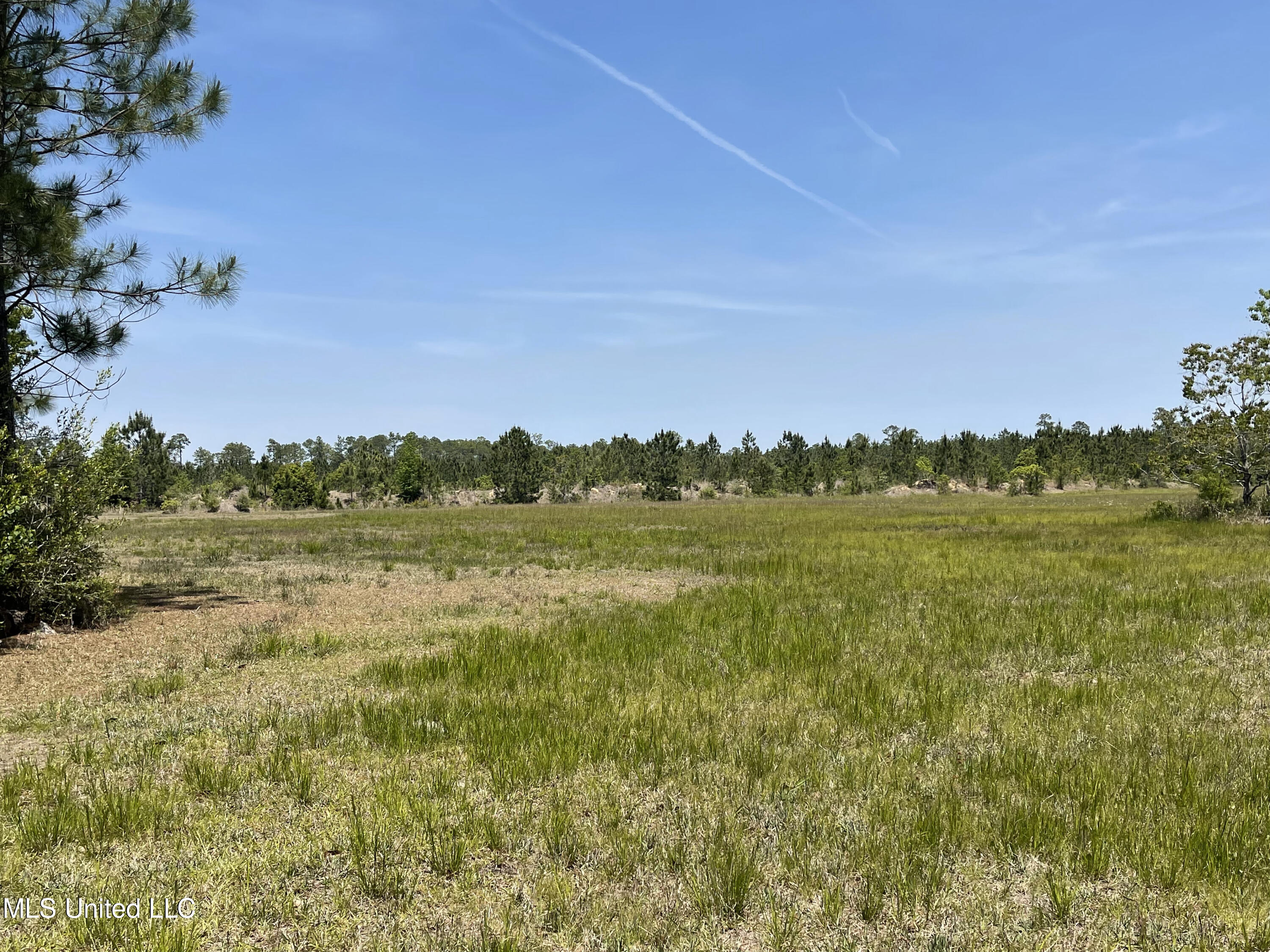 11290 Lily Orchard Road Moss Point, MS 39562 - Photo 15 of 18 Acreage