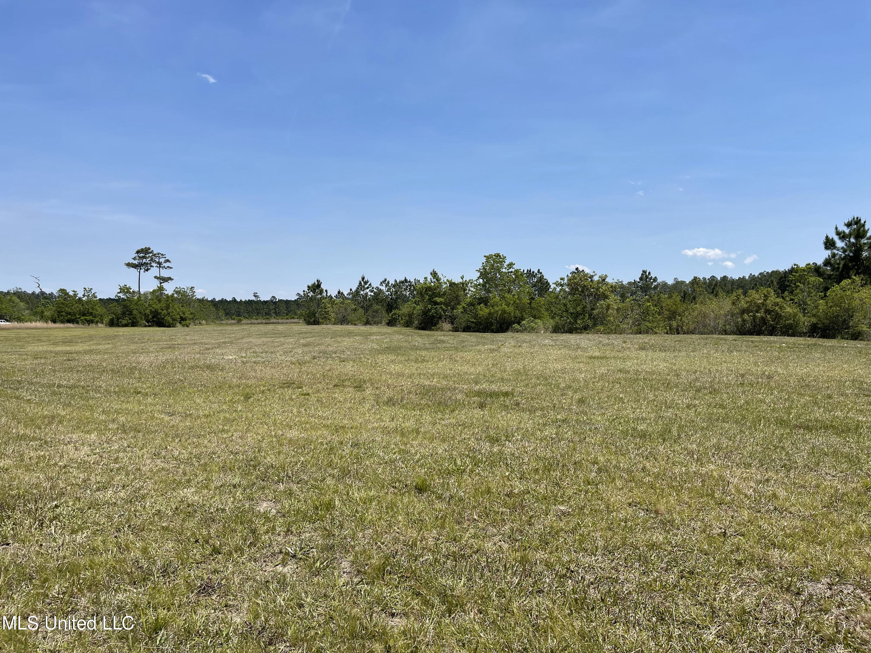 11290 Lily Orchard Road Moss Point, MS 39562 - Photo 16 of 18 Acreage