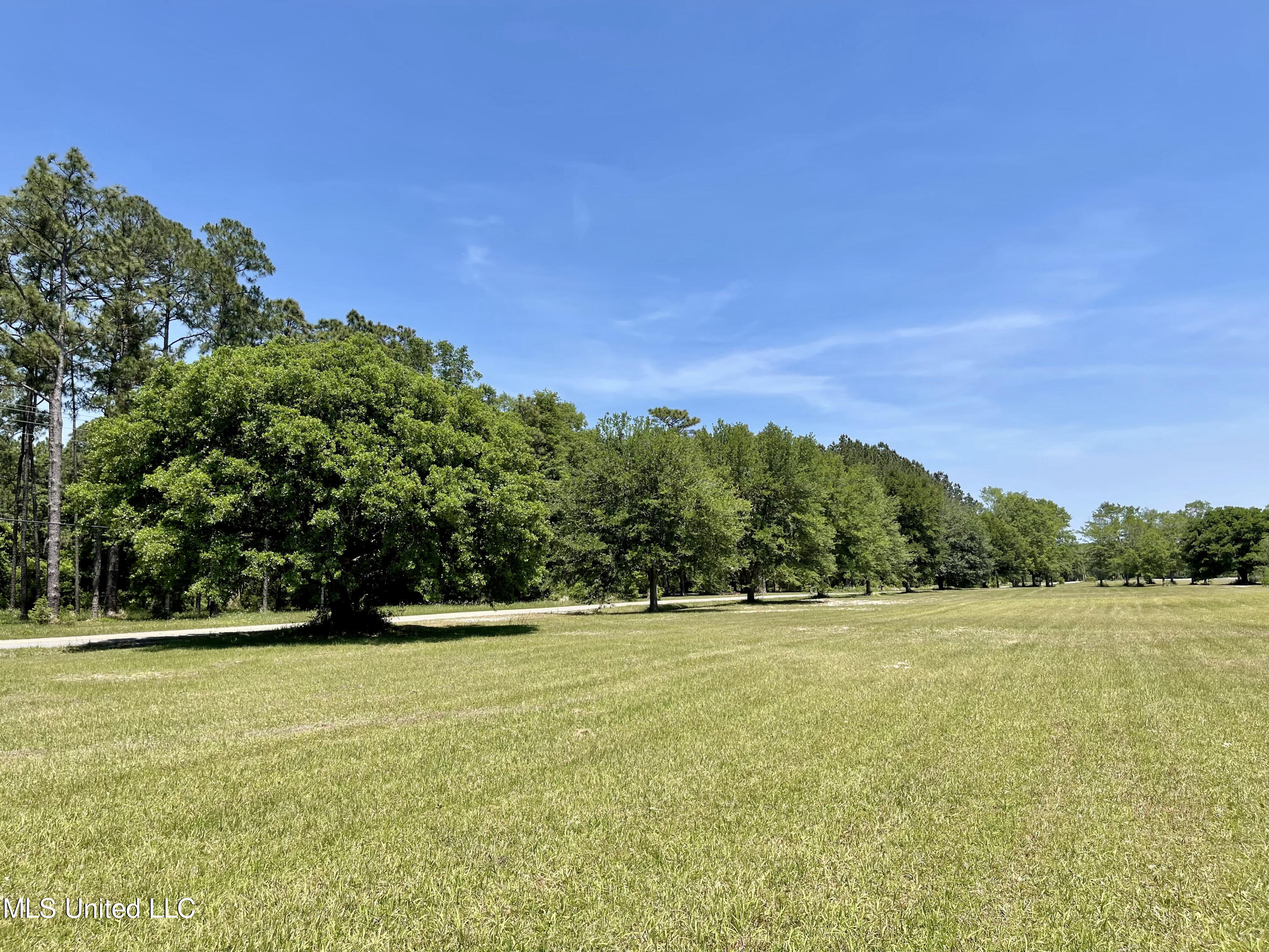 11290 Lily Orchard Road Moss Point, MS 39562 - Photo 17 of 18 North along Lily Orchard Rd