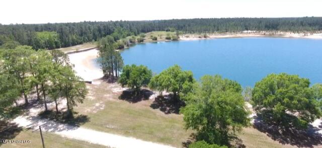 11290 Lily Orchard Road Moss Point, MS 39562 - Photo 3 of 18 Private lake and beaches