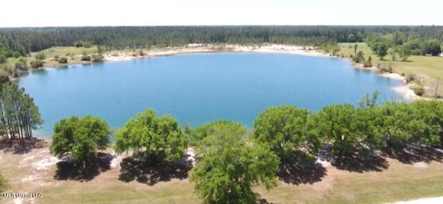 11290 Lily Orchard Road Moss Point, MS 39562 - Photo 6 of 18 Private lake