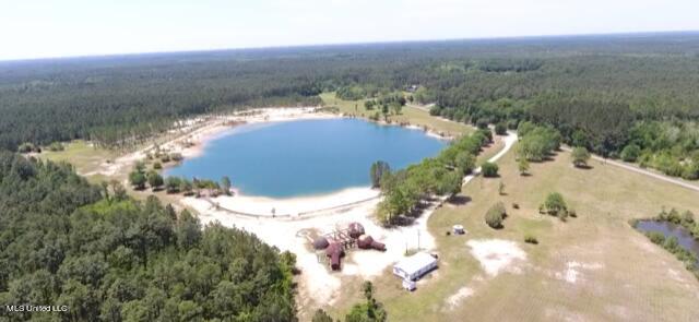 11290 Lily Orchard Road Moss Point, MS 39562 - Photo 8 of 18 Lake overview