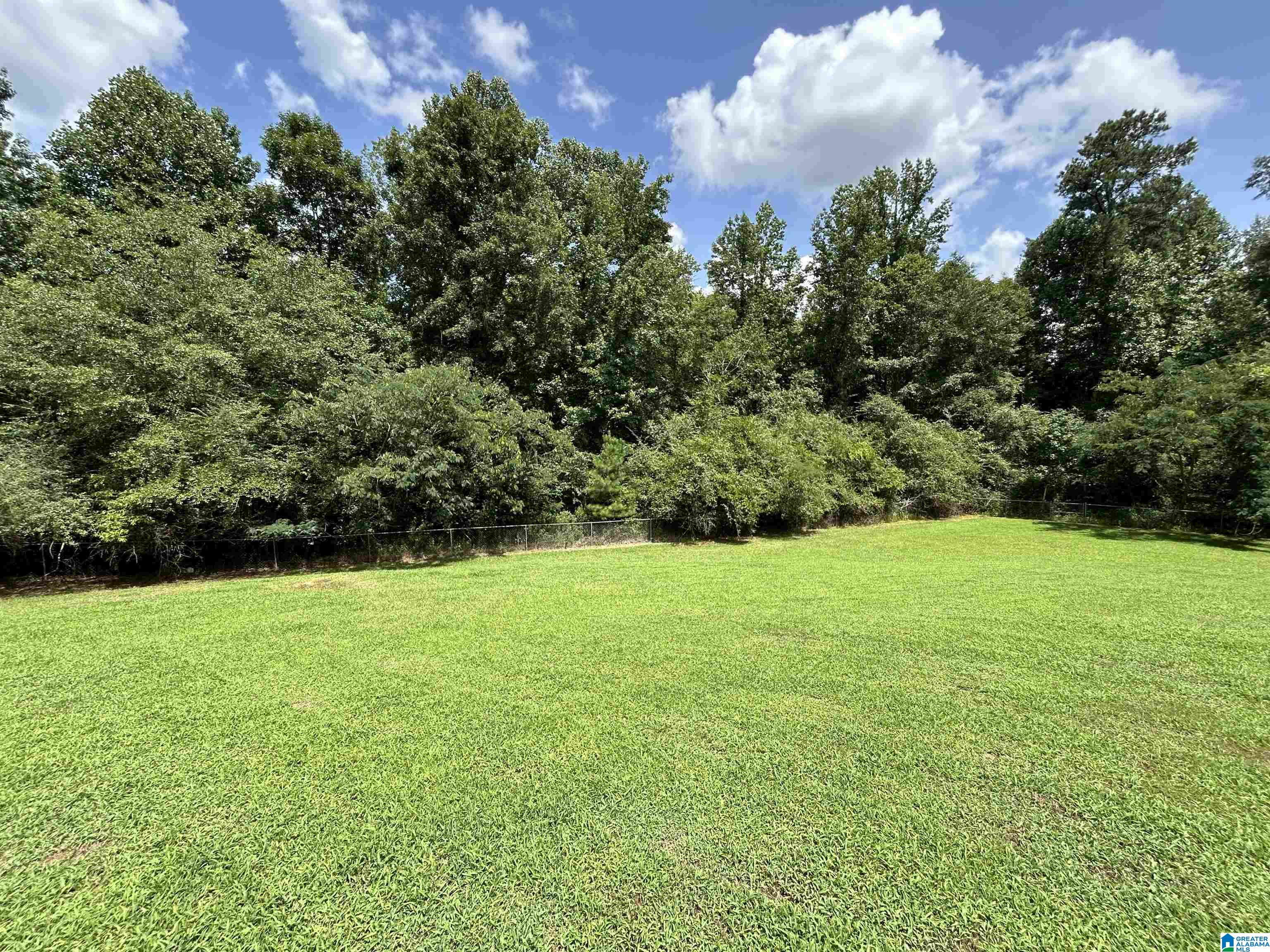 799 River Road Cordova, AL 35550 - Photo 7 of 21