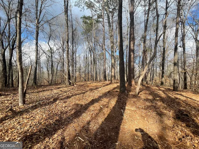 a view of a street with a building in the background
